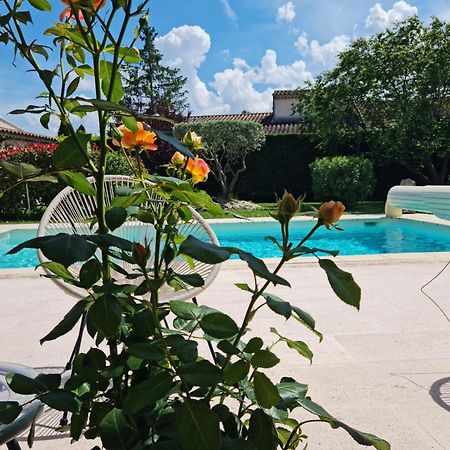Petit Gîte de Provence Mazan Extérieur photo