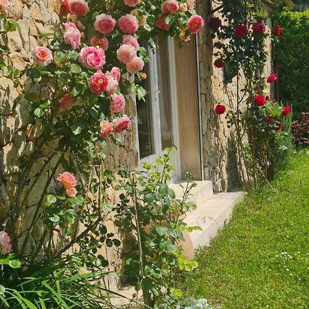 Petit Gîte de Provence Mazan Extérieur photo